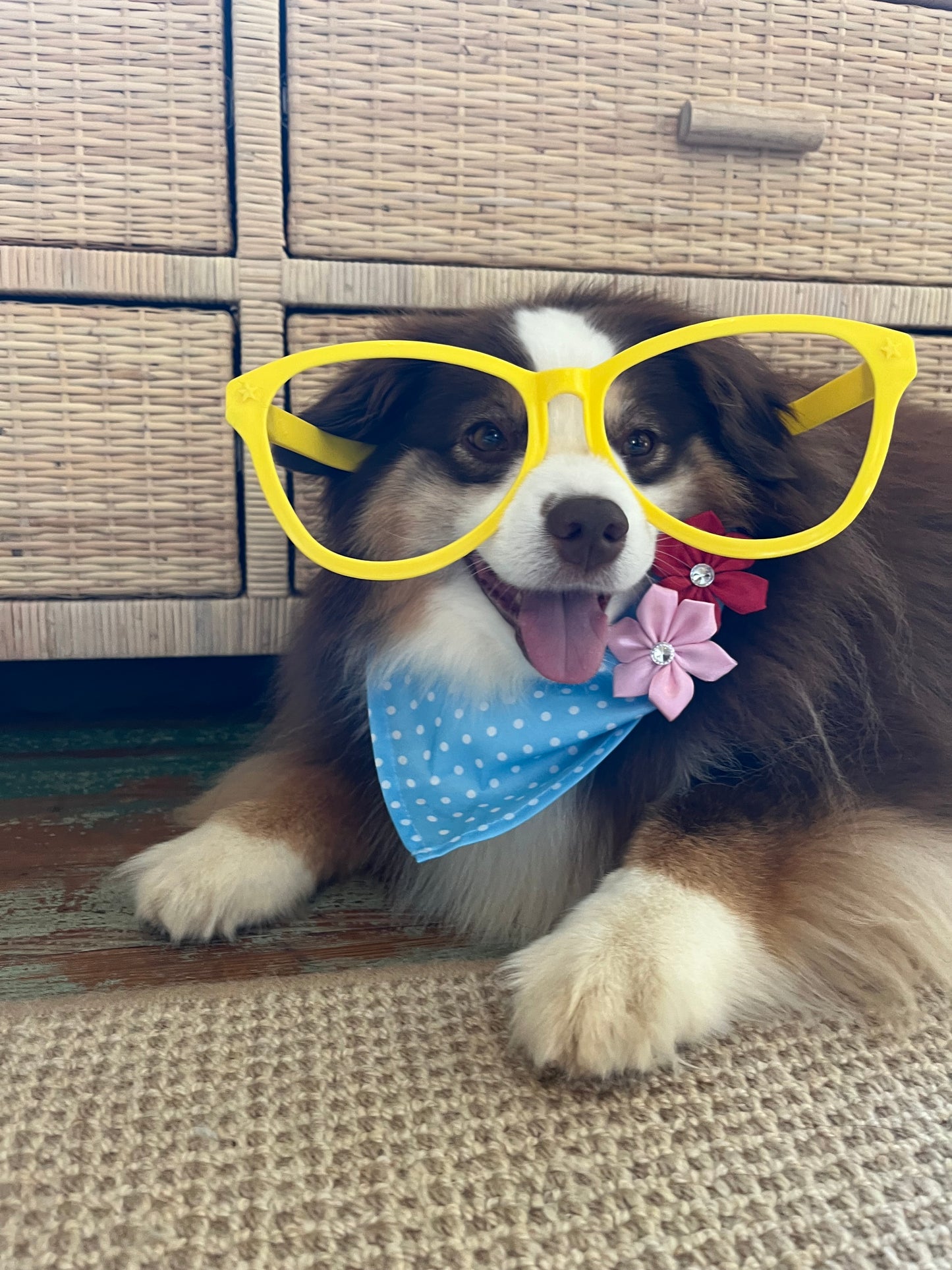 Blue Polka Dot Bandana