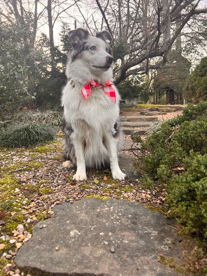 Red plaid dog bow