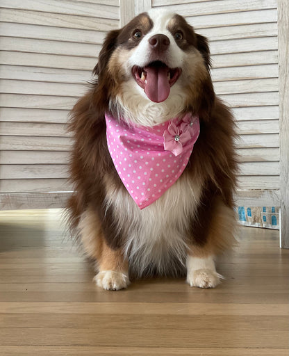 Dog bandana