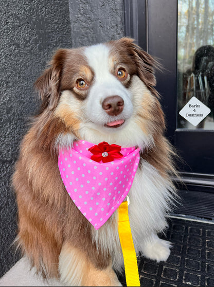 Flower polka dot Dog bandana