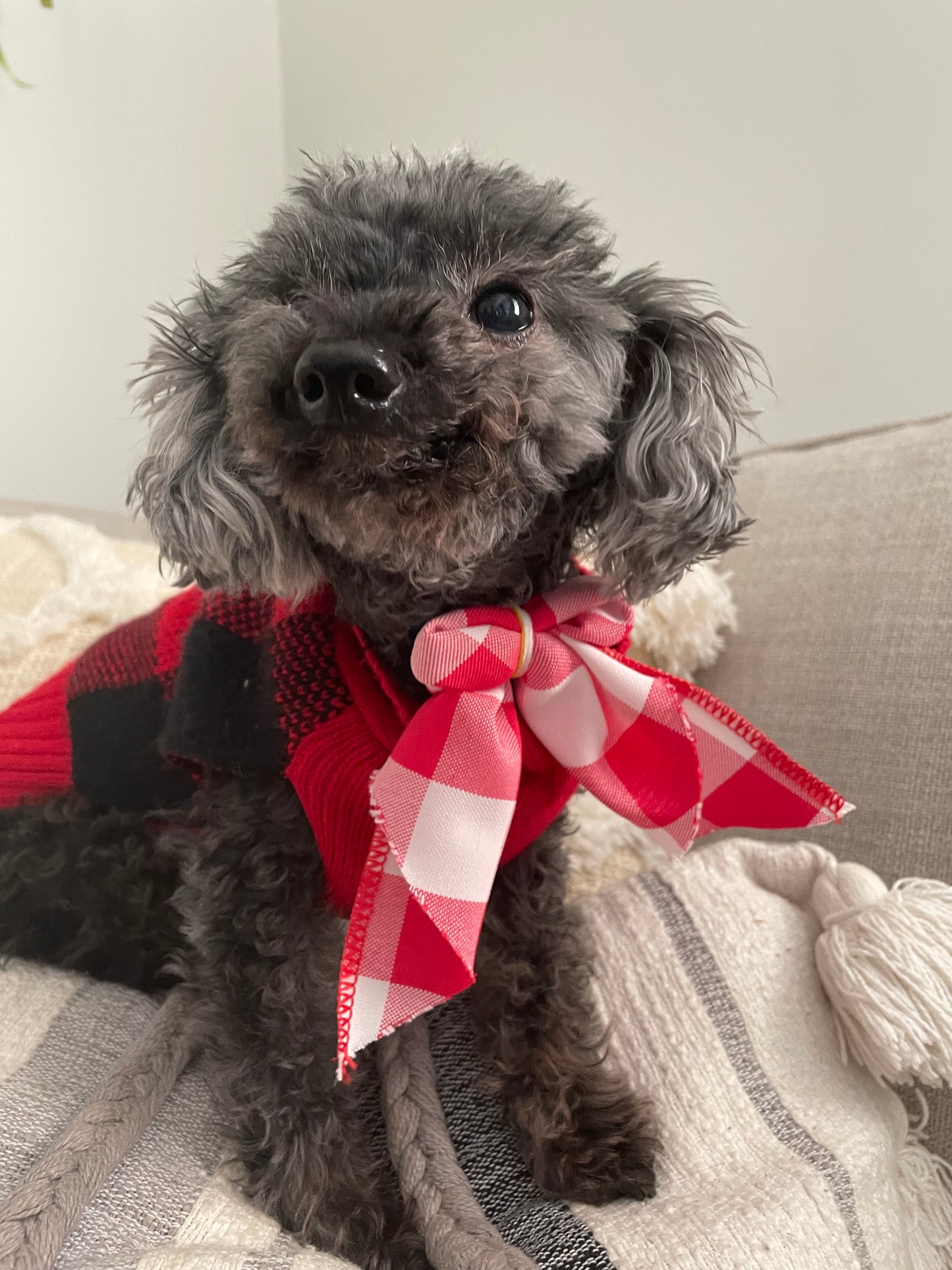 Pink plaid dog bow