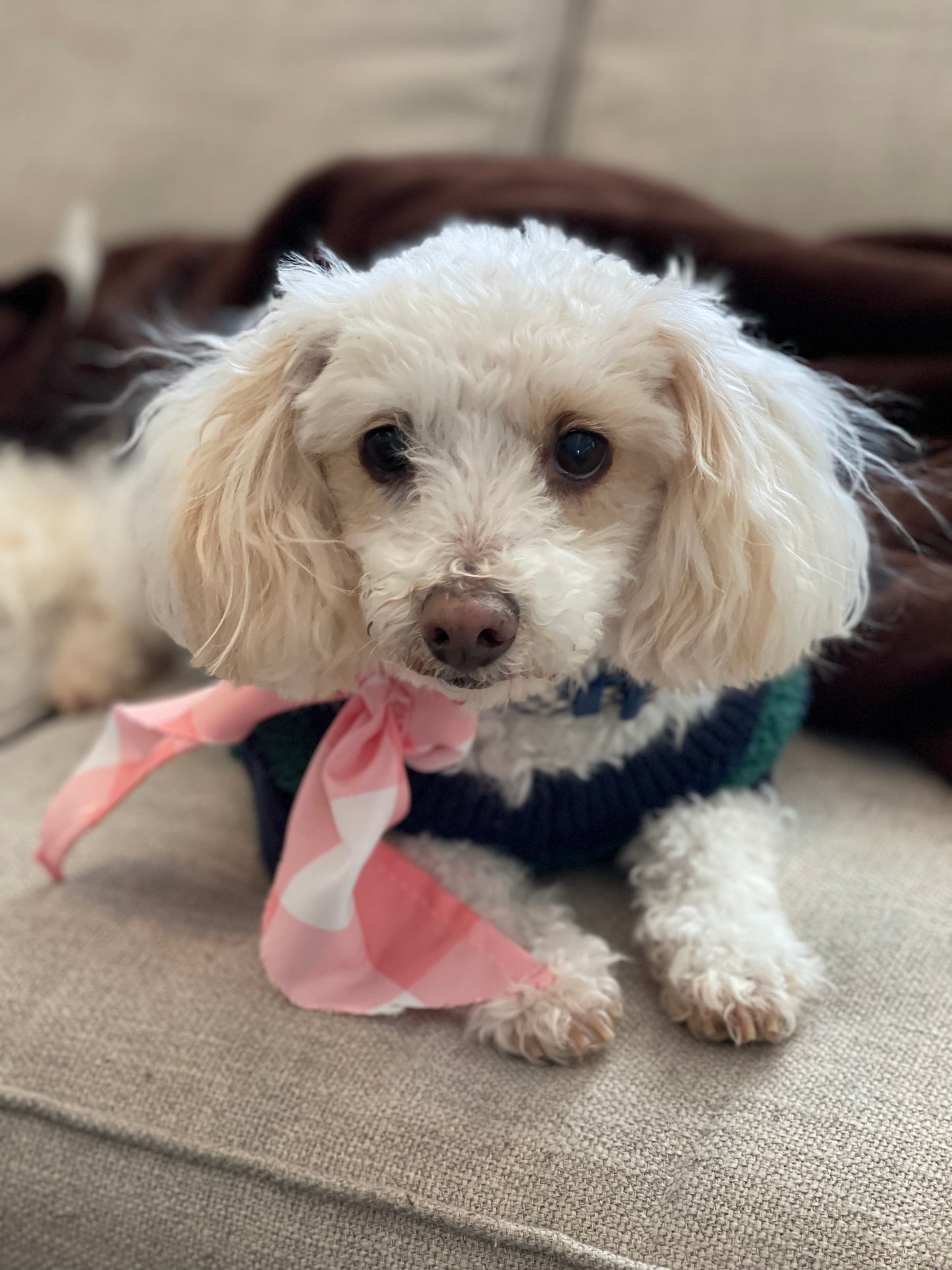 Pink plaid dog bow